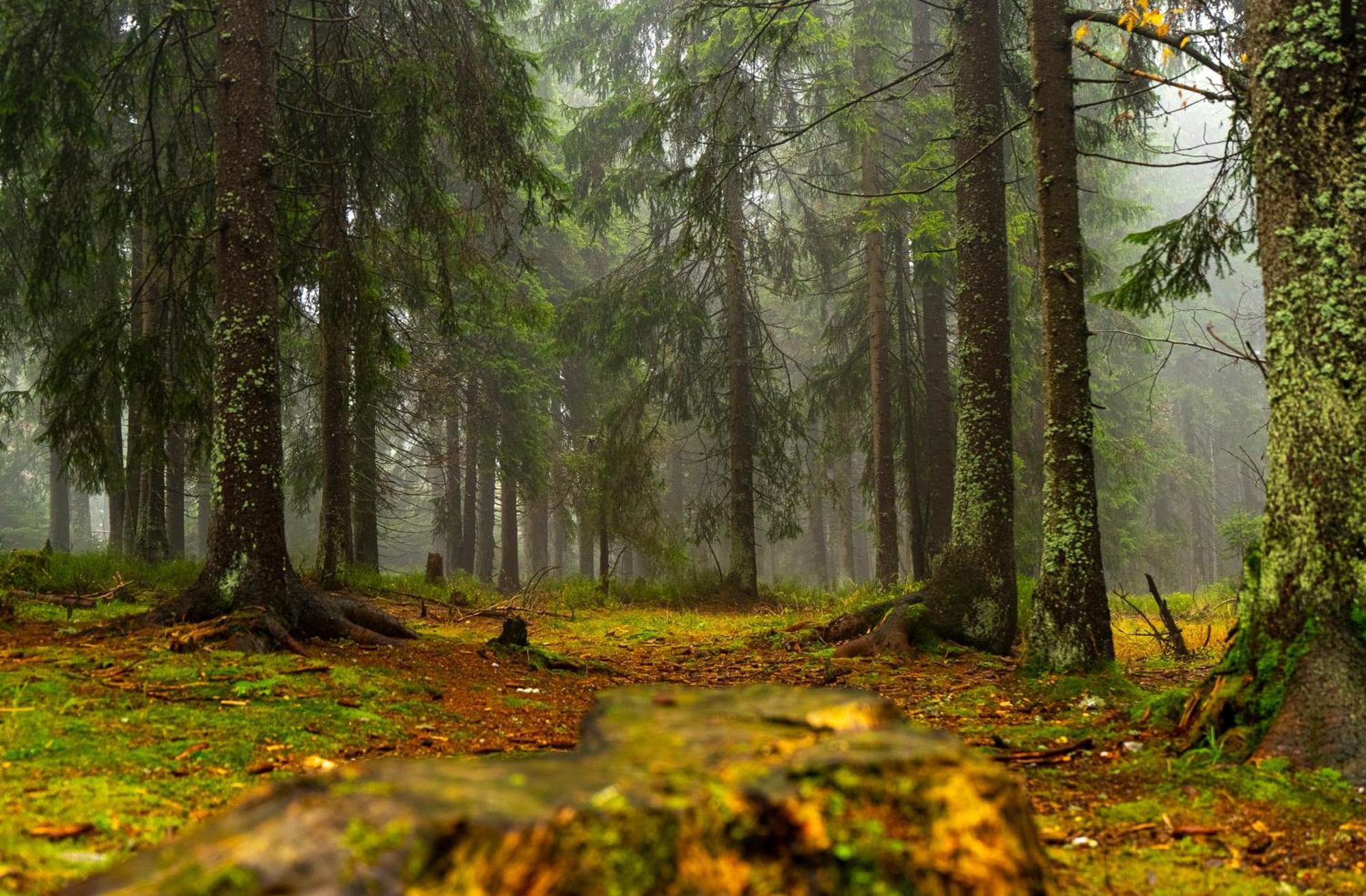 Horska Bouda Krakonos Villa Pec pod Sněžkou Buitenkant foto