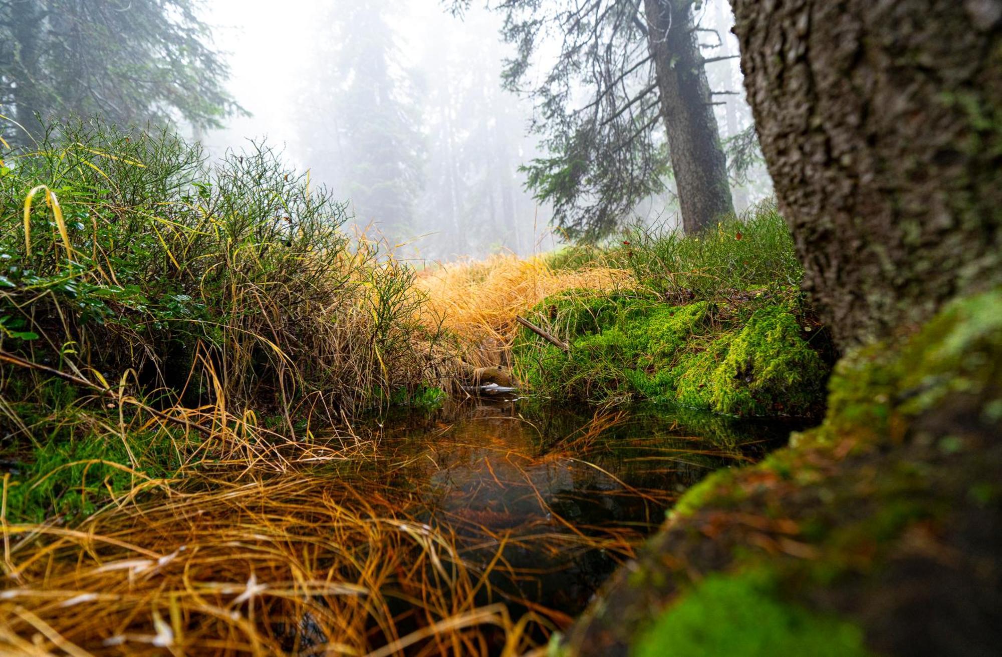 Horska Bouda Krakonos Villa Pec pod Sněžkou Buitenkant foto