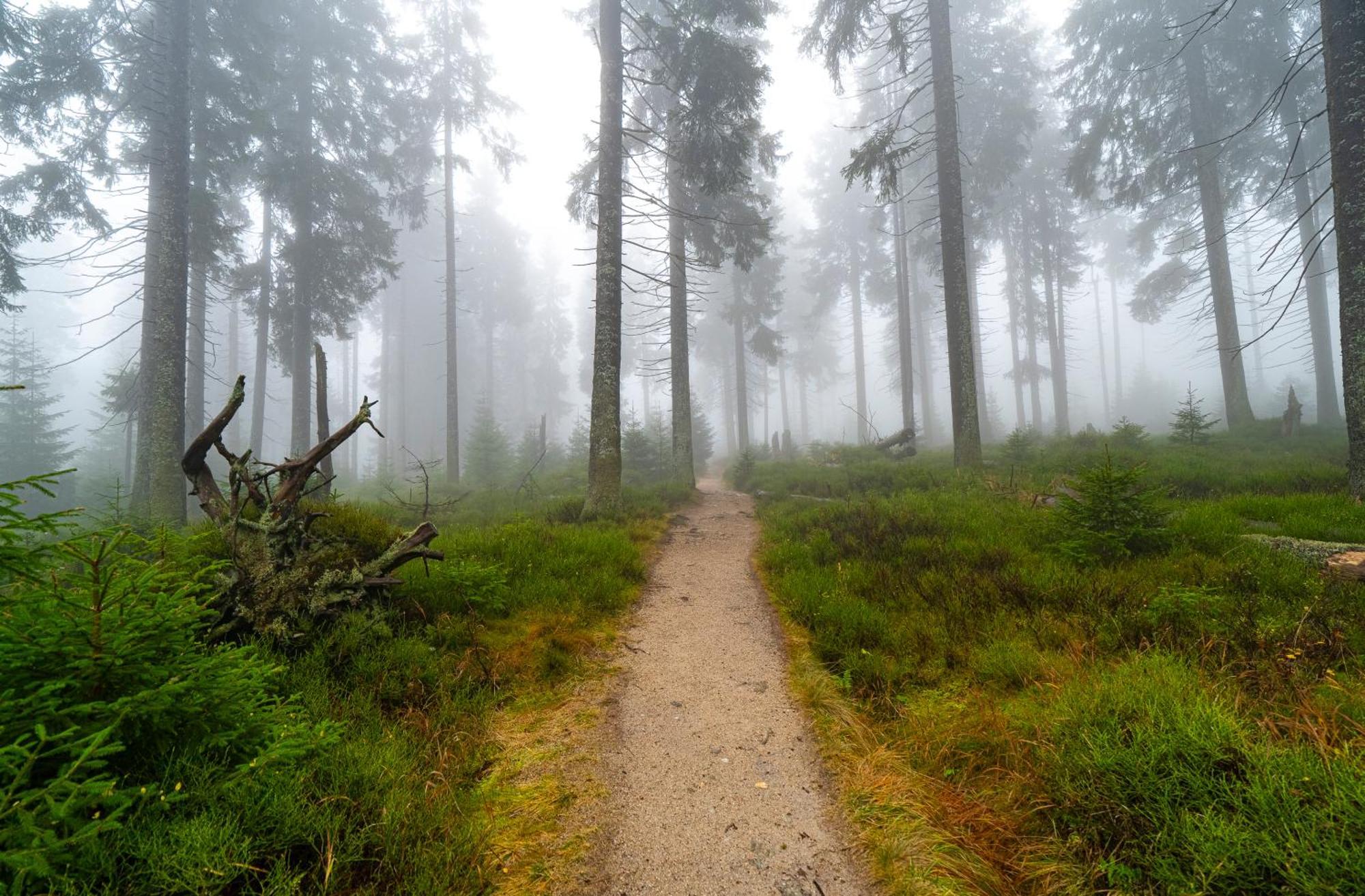 Horska Bouda Krakonos Villa Pec pod Sněžkou Buitenkant foto