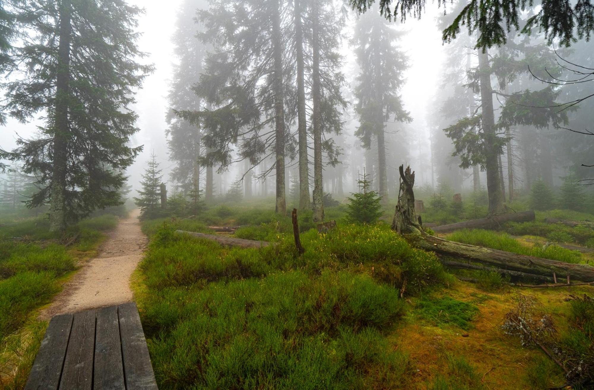 Horska Bouda Krakonos Villa Pec pod Sněžkou Buitenkant foto